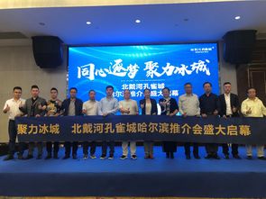 北戴河孔雀城 同心逐夢 聚力冰城